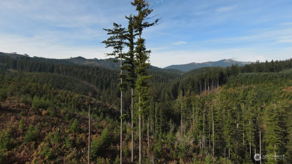 1051 SKAMANIA MINES Road , Washougal, WA 98671