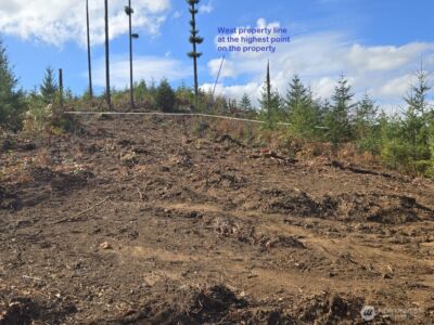 1051 SKAMANIA MINES Road , Washougal, WA 98671 - Photo 3
