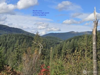 1051 SKAMANIA MINES Road , Washougal, WA 98671 - Photo 4