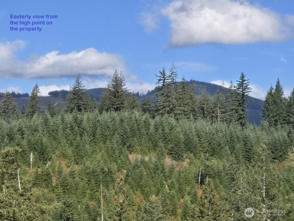 1051 SKAMANIA MINES Road , Washougal, WA 98671