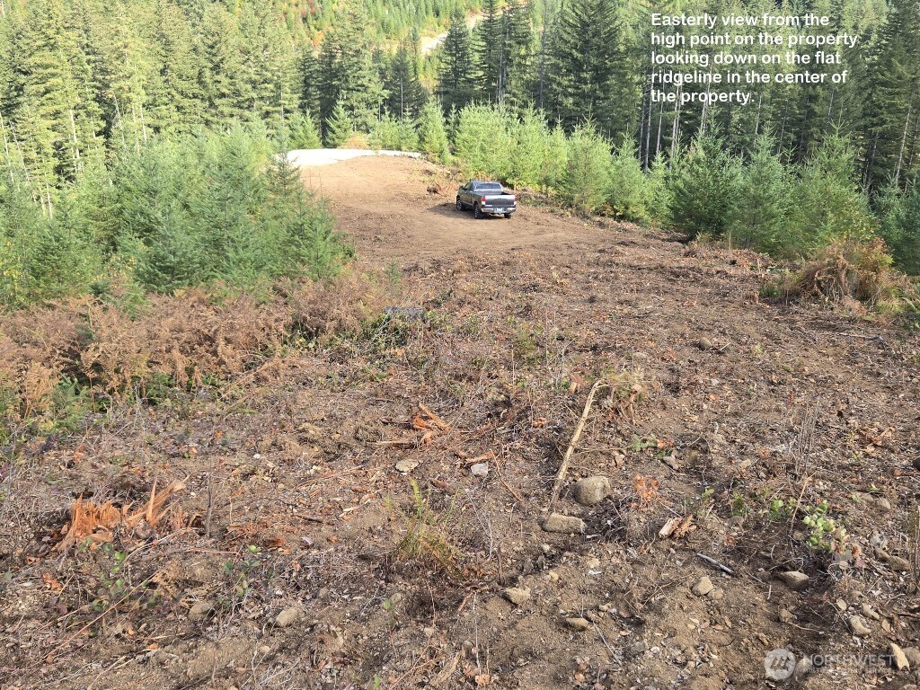 1051 SKAMANIA MINES Road , Washougal, WA 98671