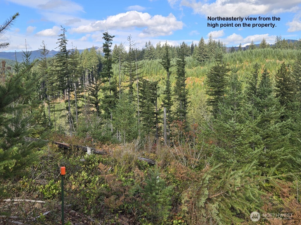 1051 SKAMANIA MINES Road , Washougal, WA 98671