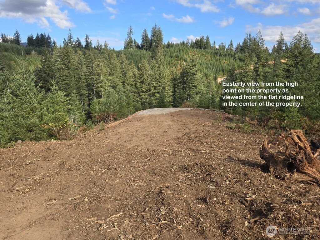 1051 SKAMANIA MINES Road , Washougal, WA 98671