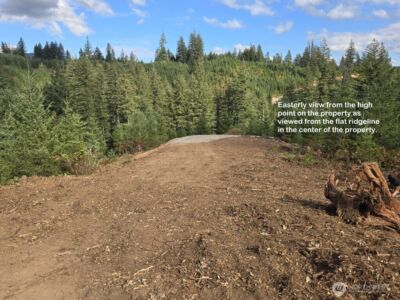 1051 SKAMANIA MINES Road , Washougal, WA 98671 - Photo 10