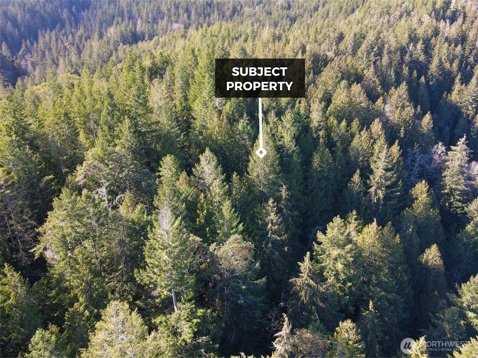 58 Stickney Street N, Lilliwaup, WA 98555