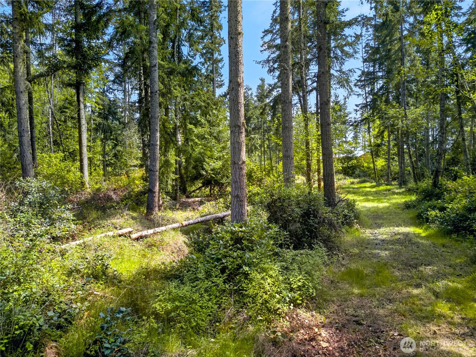0 Evergreen Lane , Freeland, WA 98249