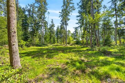 0 Evergreen Lane , Freeland, WA 98249