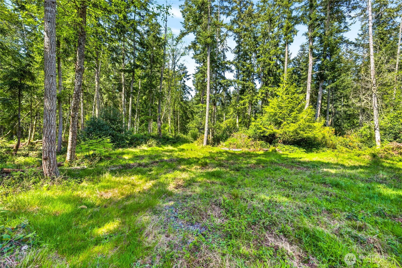 0 Evergreen Lane , Freeland, WA 98249