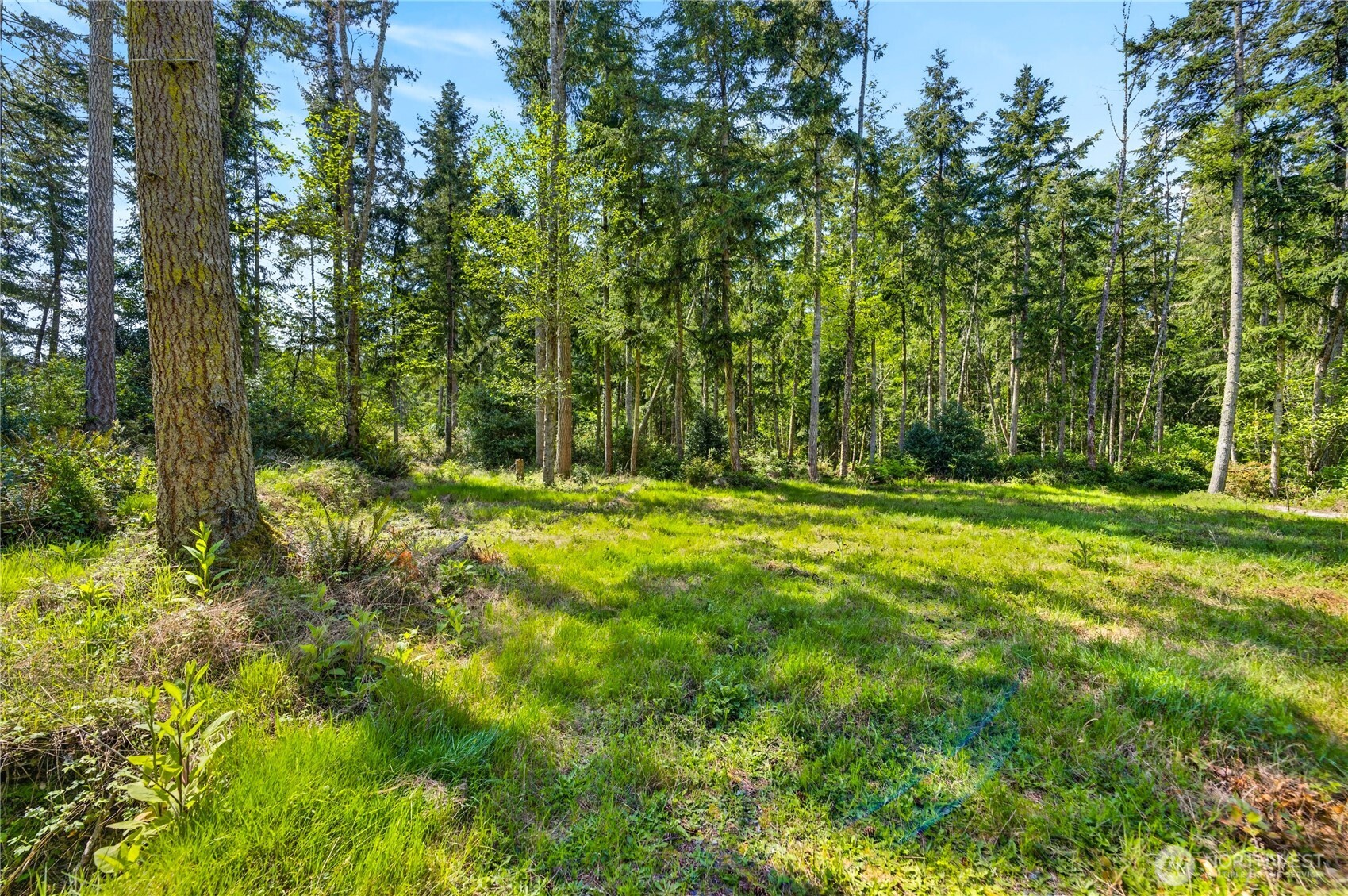 0 Evergreen Lane , Freeland, WA 98249