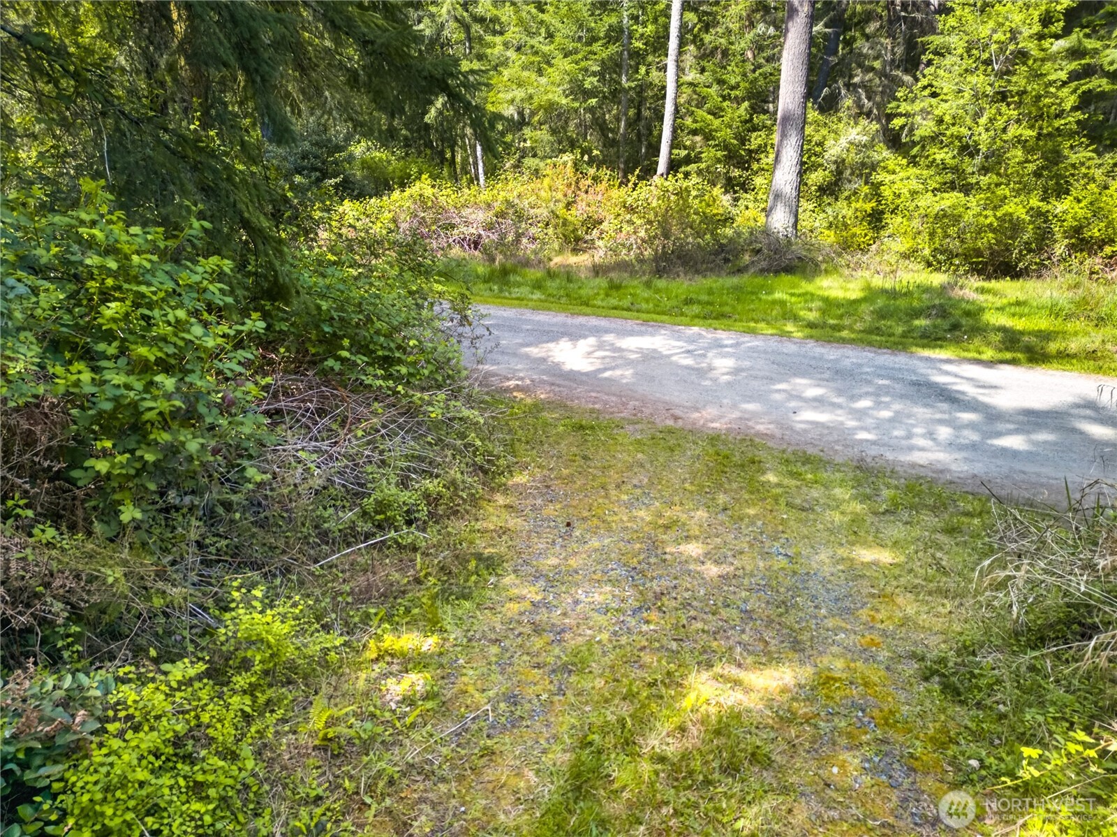 0 Evergreen Lane , Freeland, WA 98249