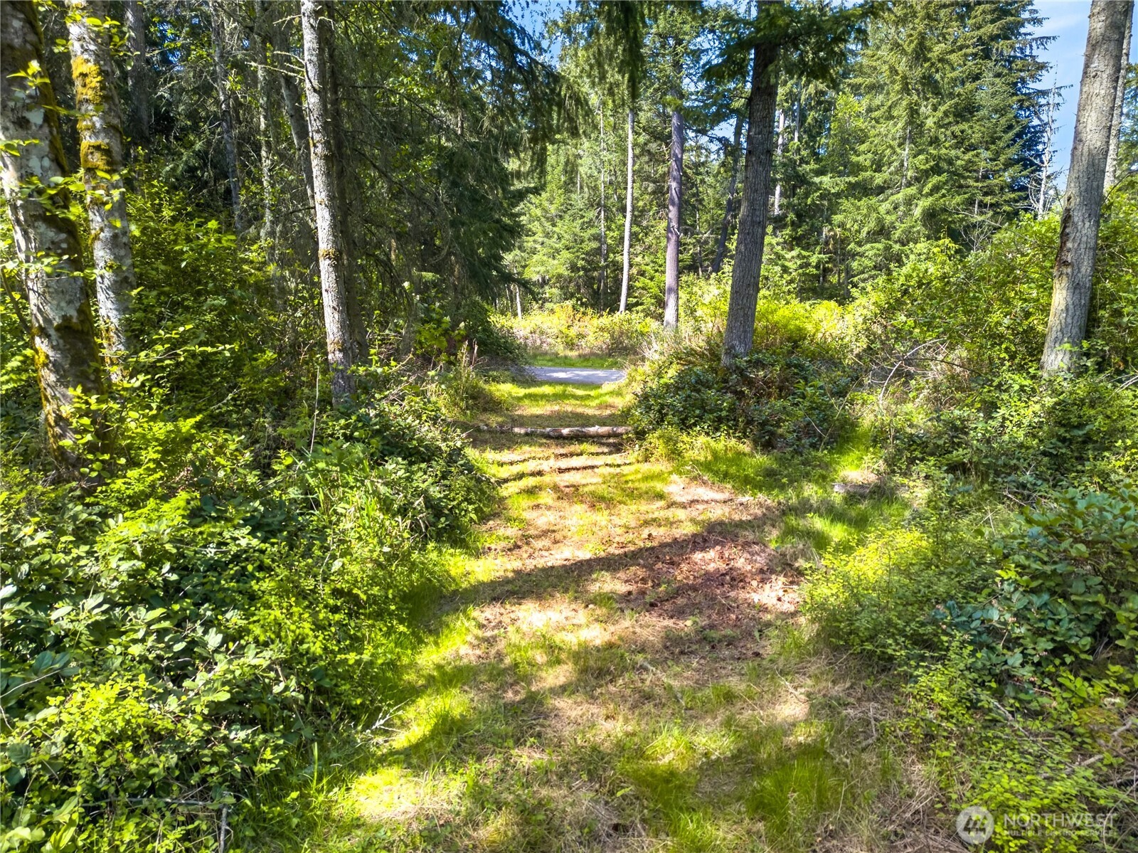 0 Evergreen Lane , Freeland, WA 98249