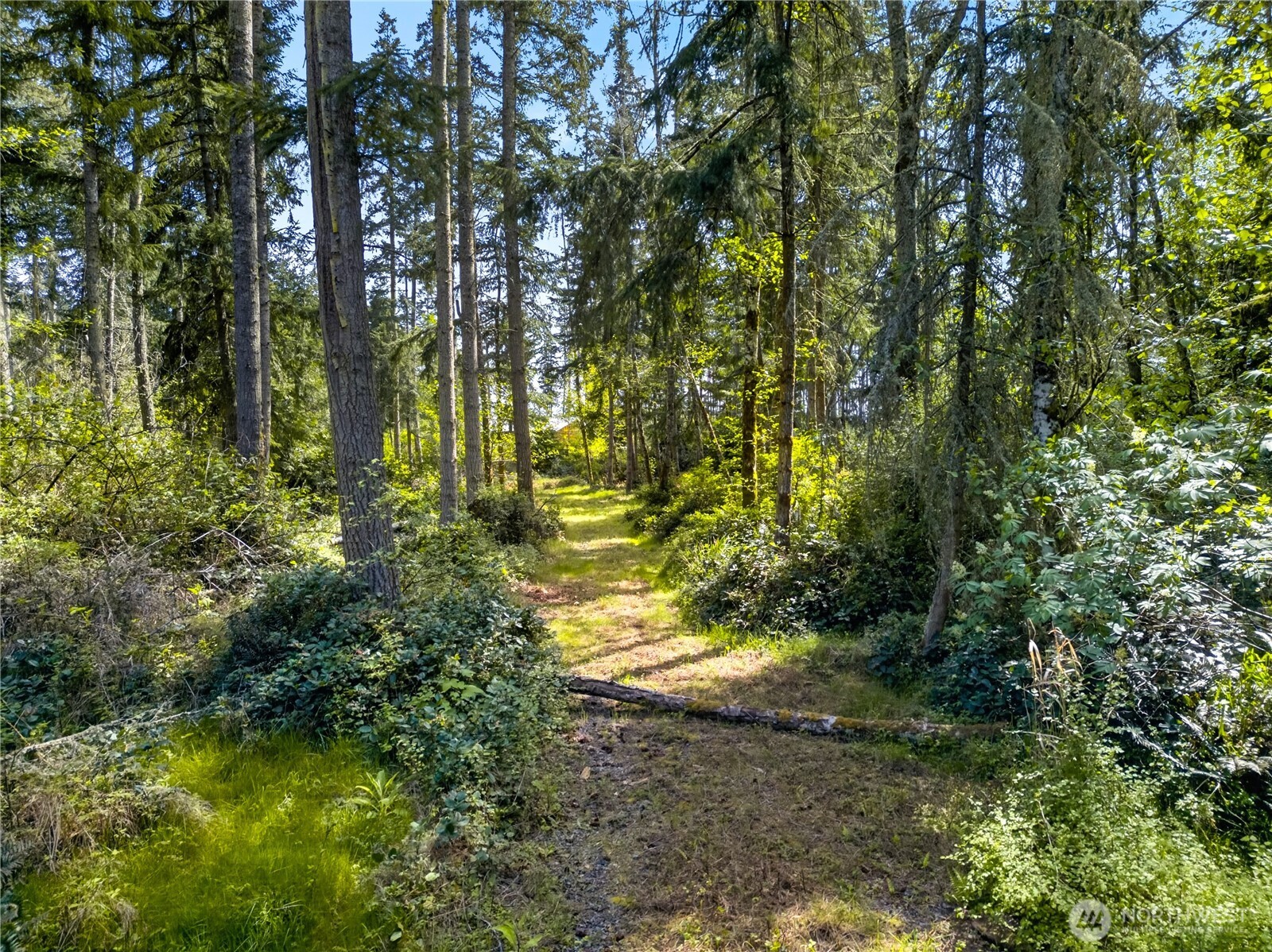 0 Evergreen Lane , Freeland, WA 98249