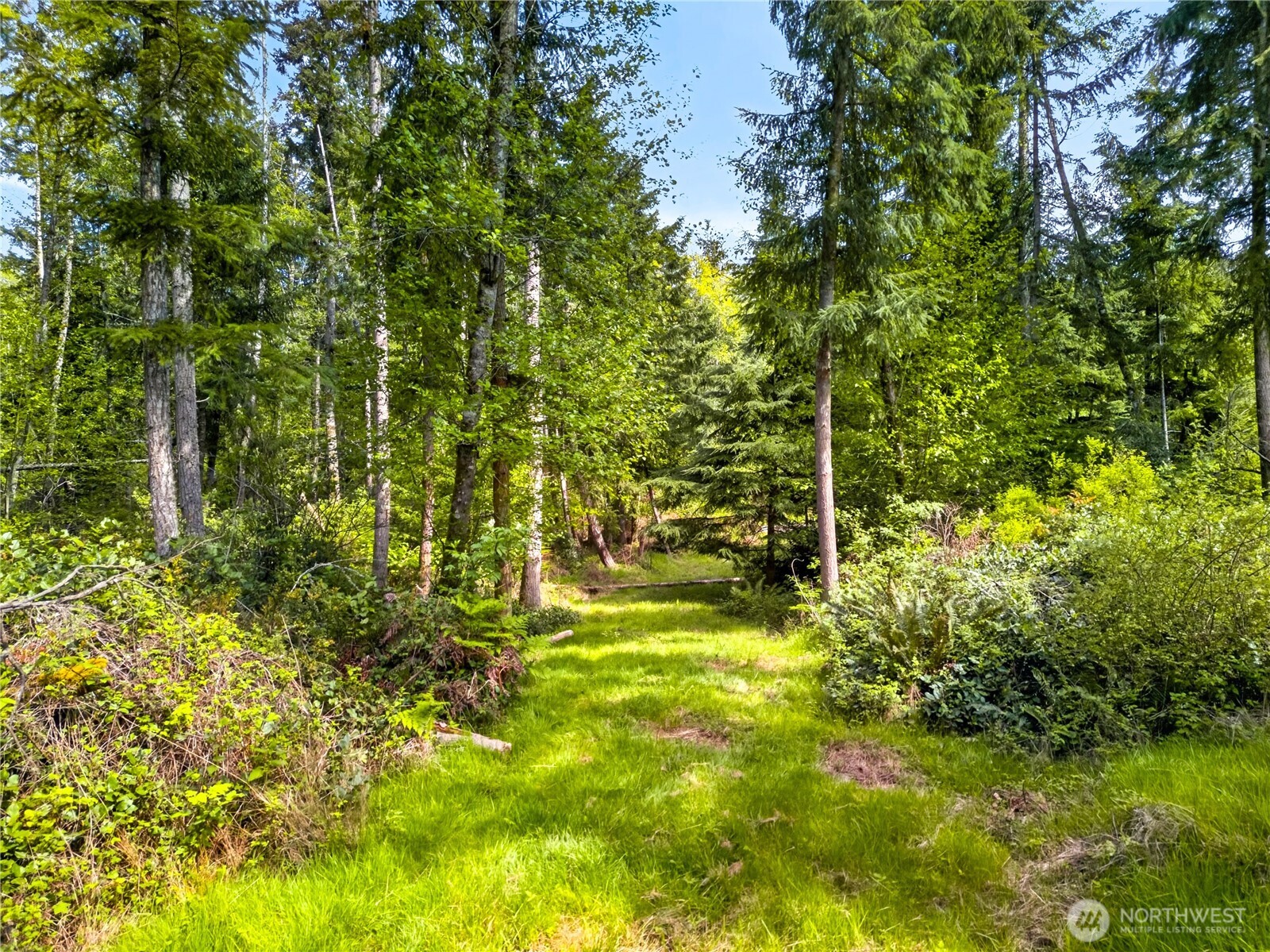 0 Evergreen Lane , Freeland, WA 98249
