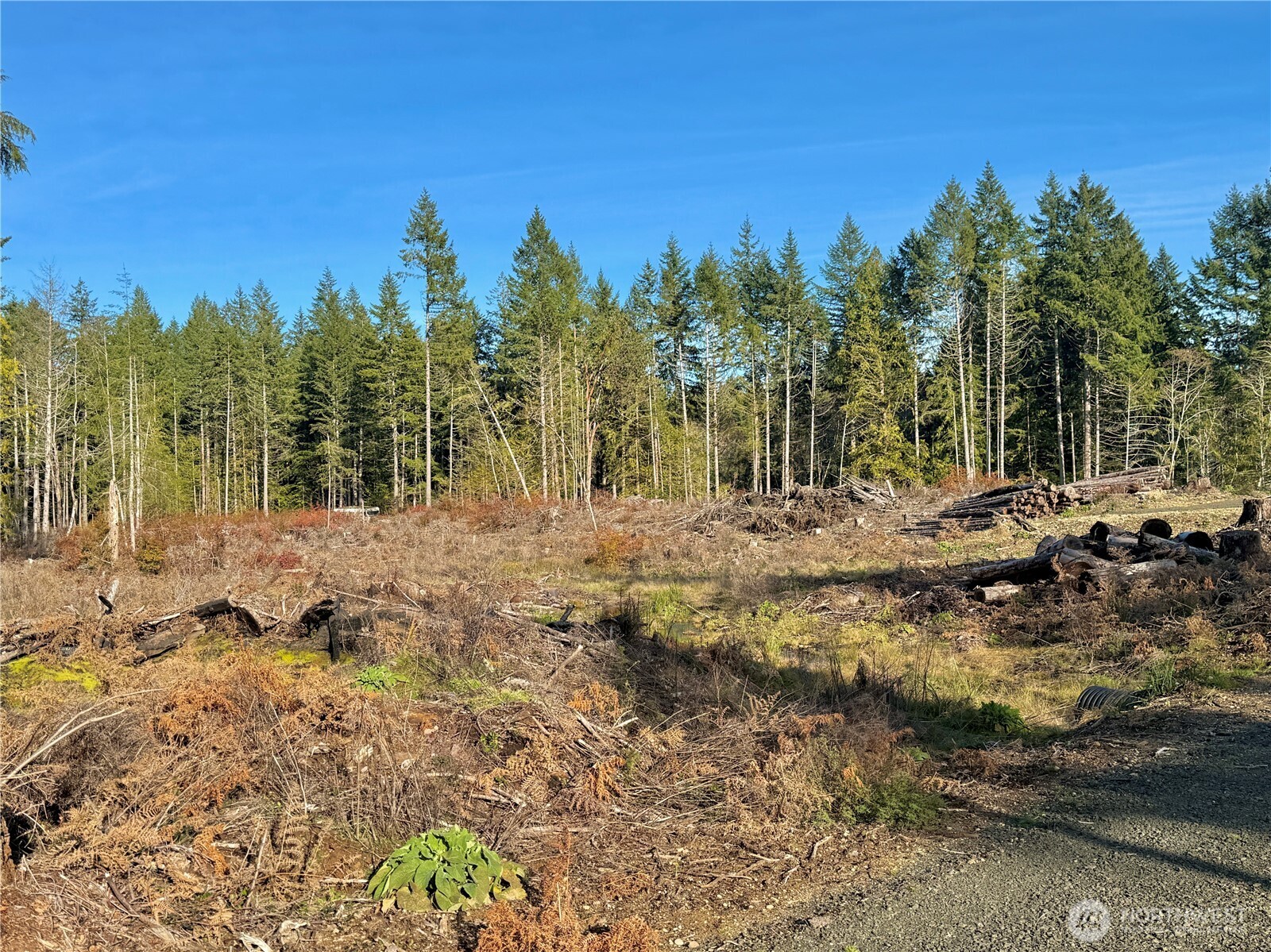 250 E Solbakk Veien Road , Shelton, WA 98584