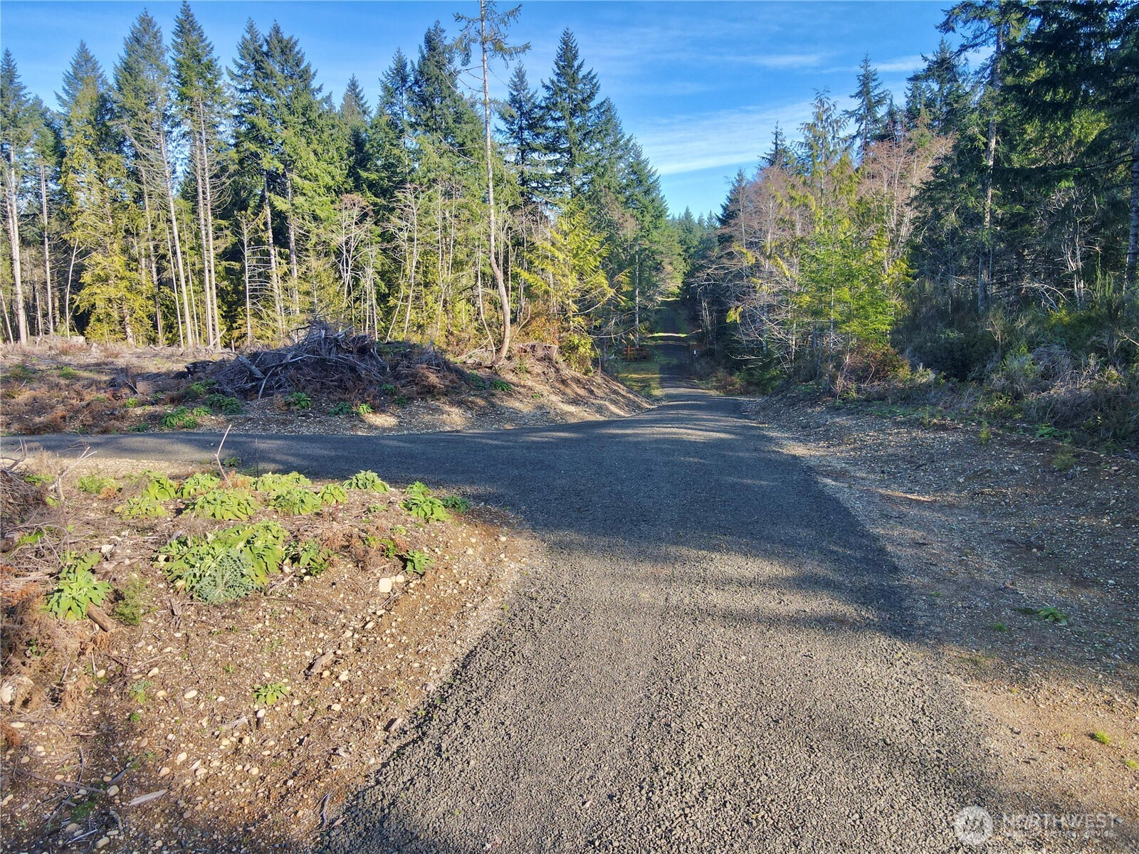 250 E Solbakk Veien Road , Shelton, WA 98584