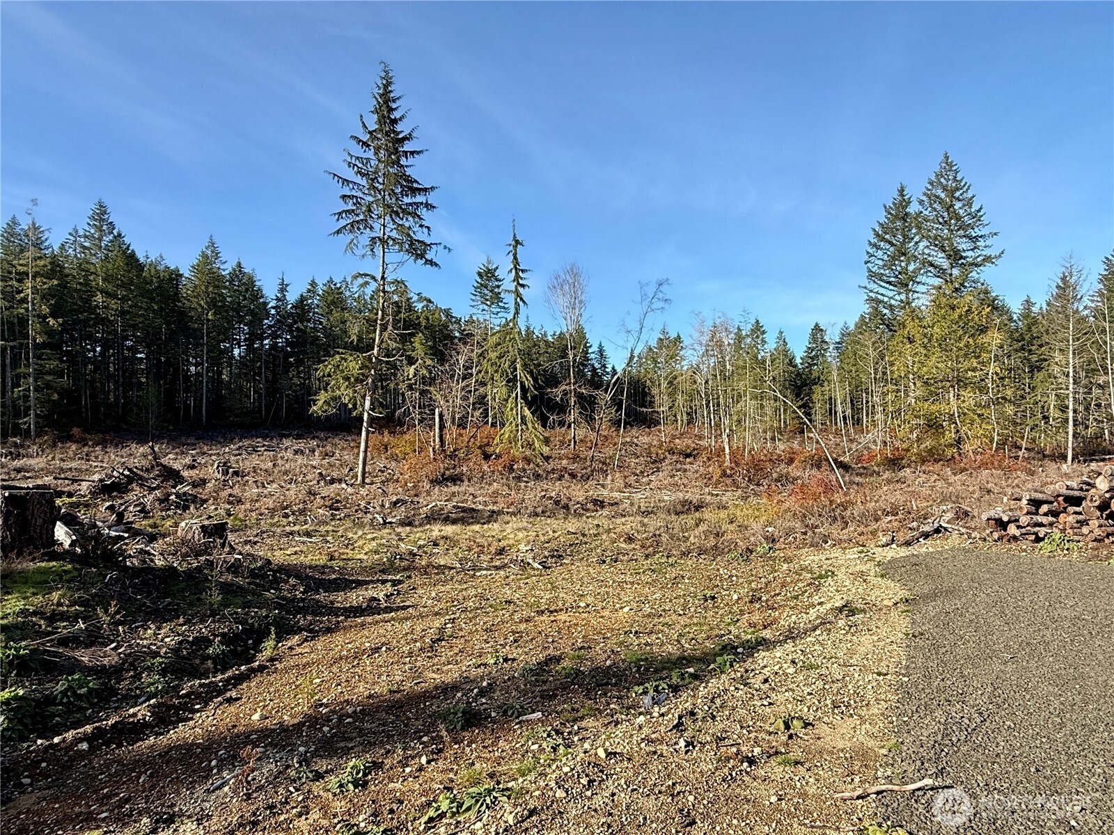 250 E Solbakk Veien Road , Shelton, WA 98584