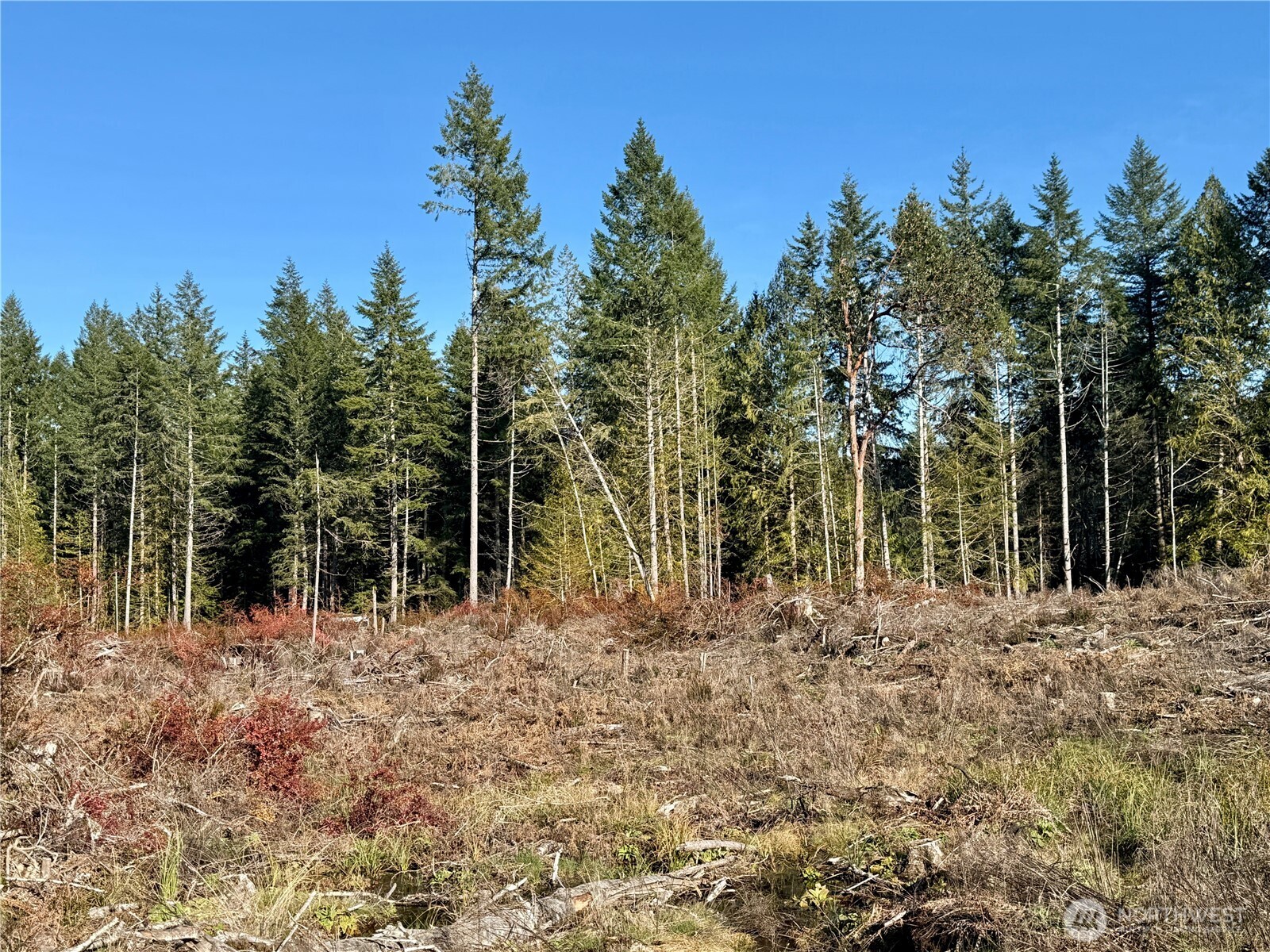 250 E Solbakk Veien Road , Shelton, WA 98584