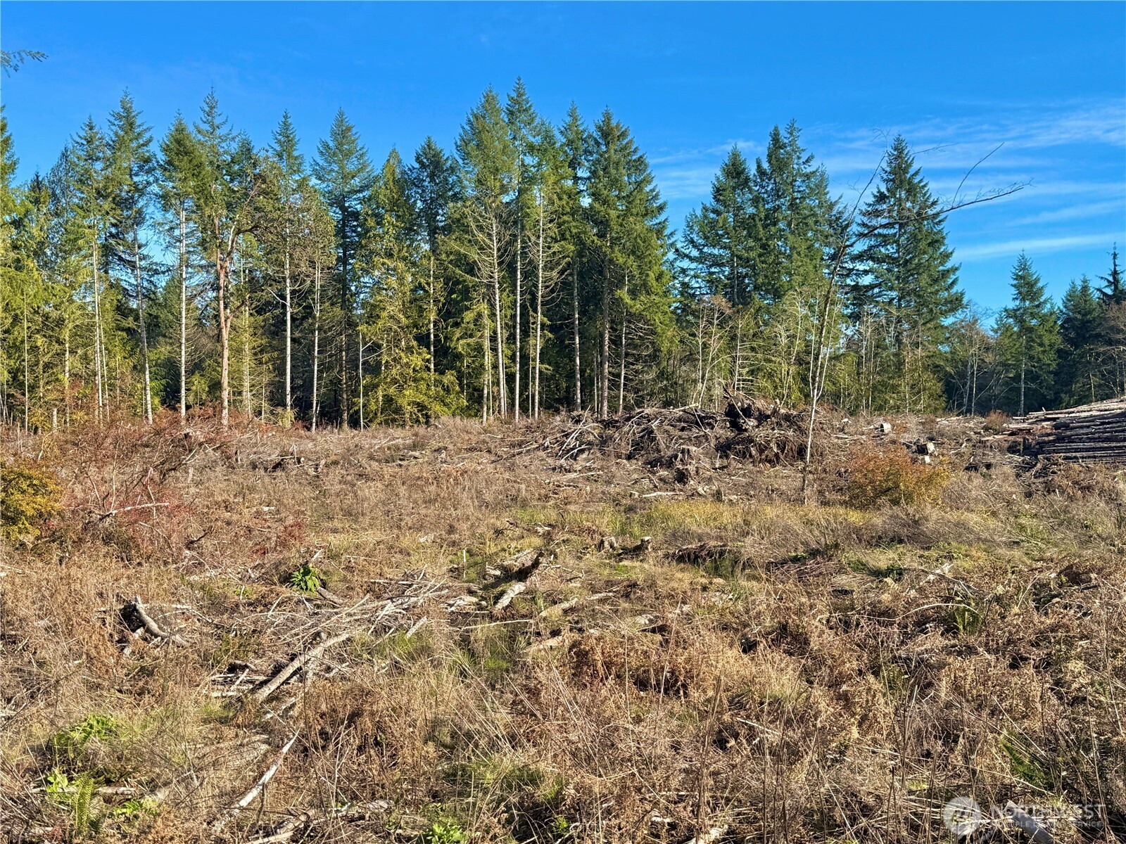 250 E Solbakk Veien Road , Shelton, WA 98584