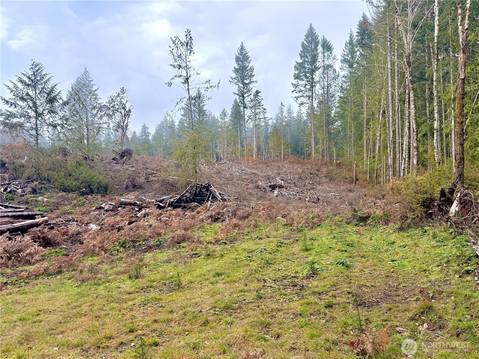 250 E Solbakk Veien Road , Shelton, WA 98584