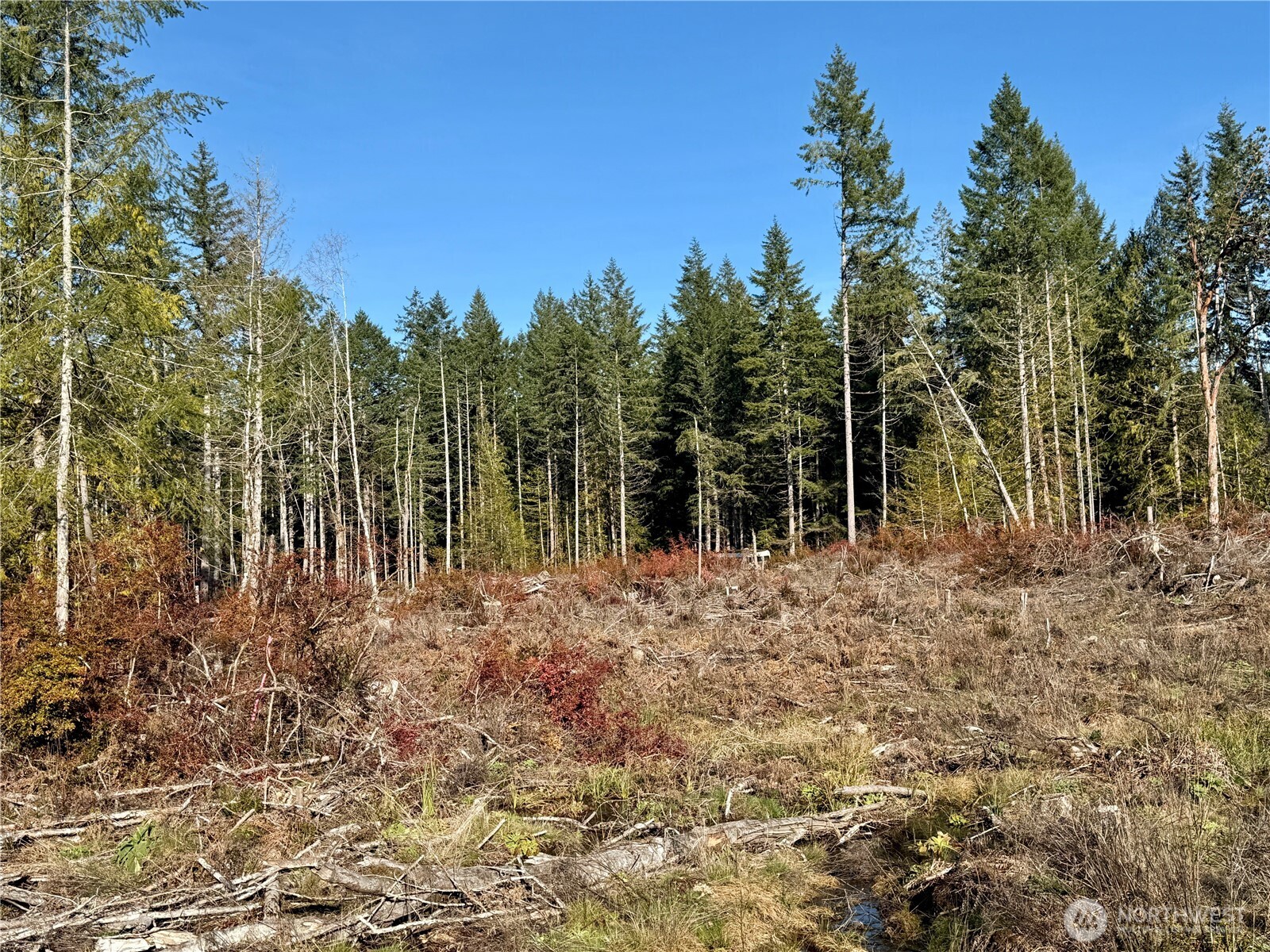 250 E Solbakk Veien Road , Shelton, WA 98584