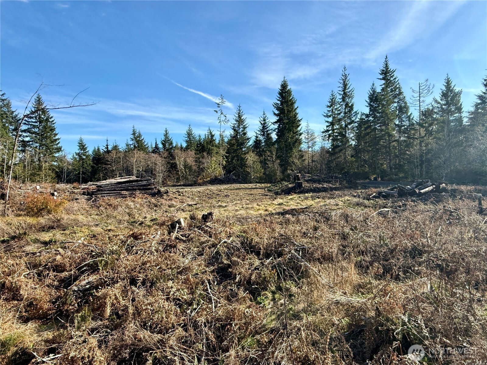 250 E Solbakk Veien Road , Shelton, WA 98584