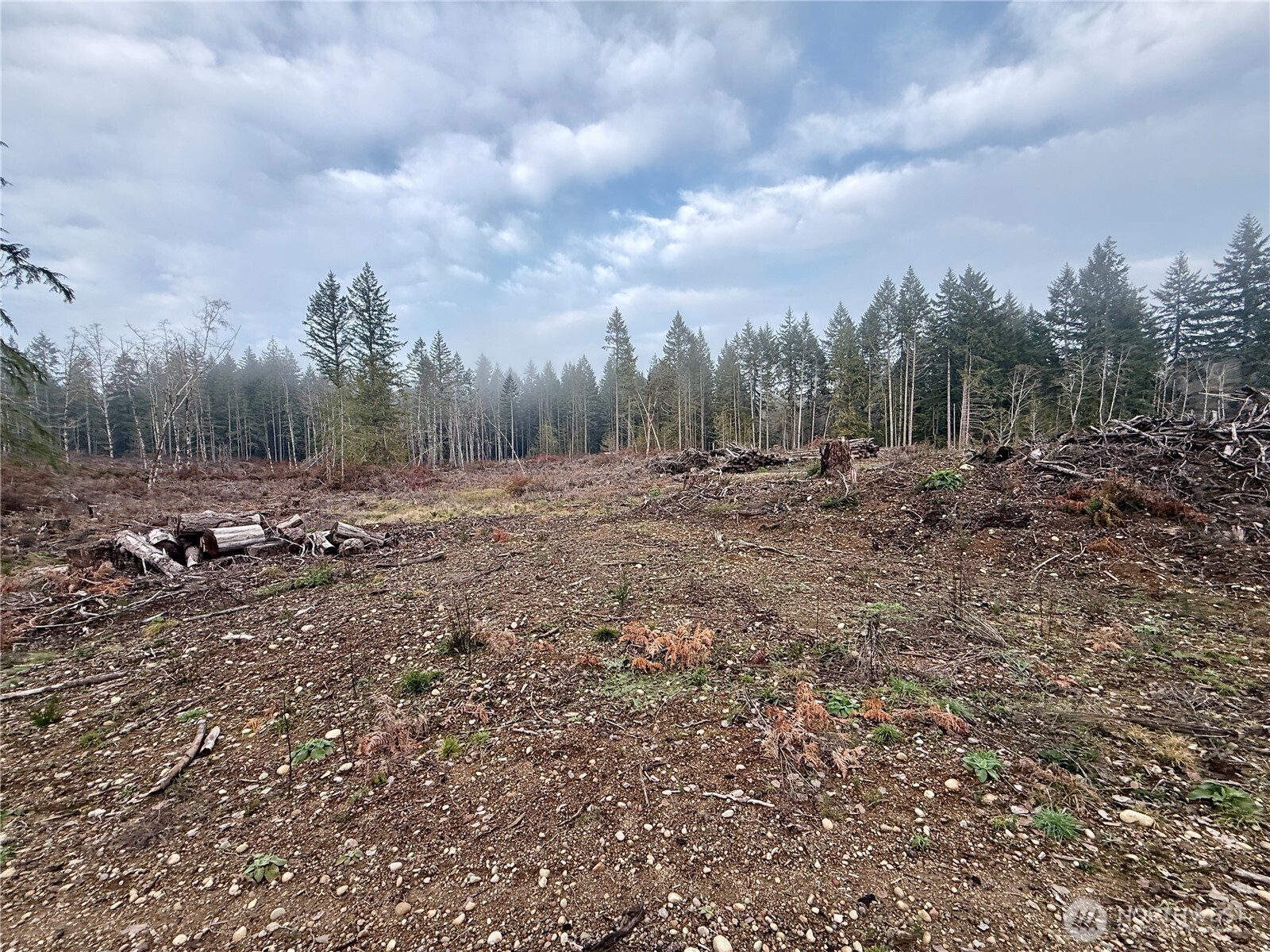 250 E Solbakk Veien Road , Shelton, WA 98584