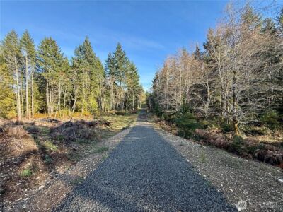 260 E Solbakk Veien Road , Shelton, WA 98584