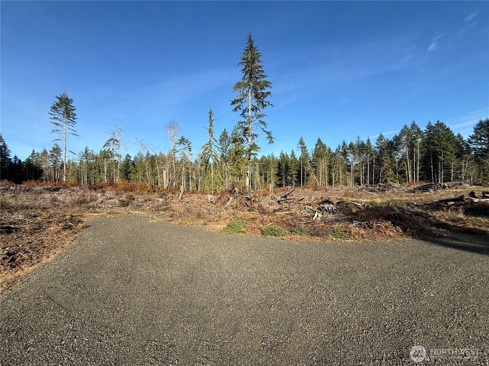 260 E Solbakk Veien Road , Shelton, WA 98584