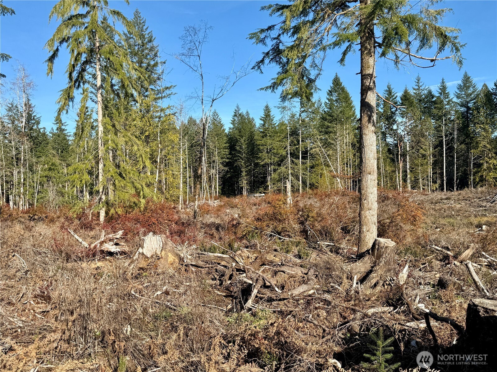 260 E Solbakk Veien Road , Shelton, WA 98584