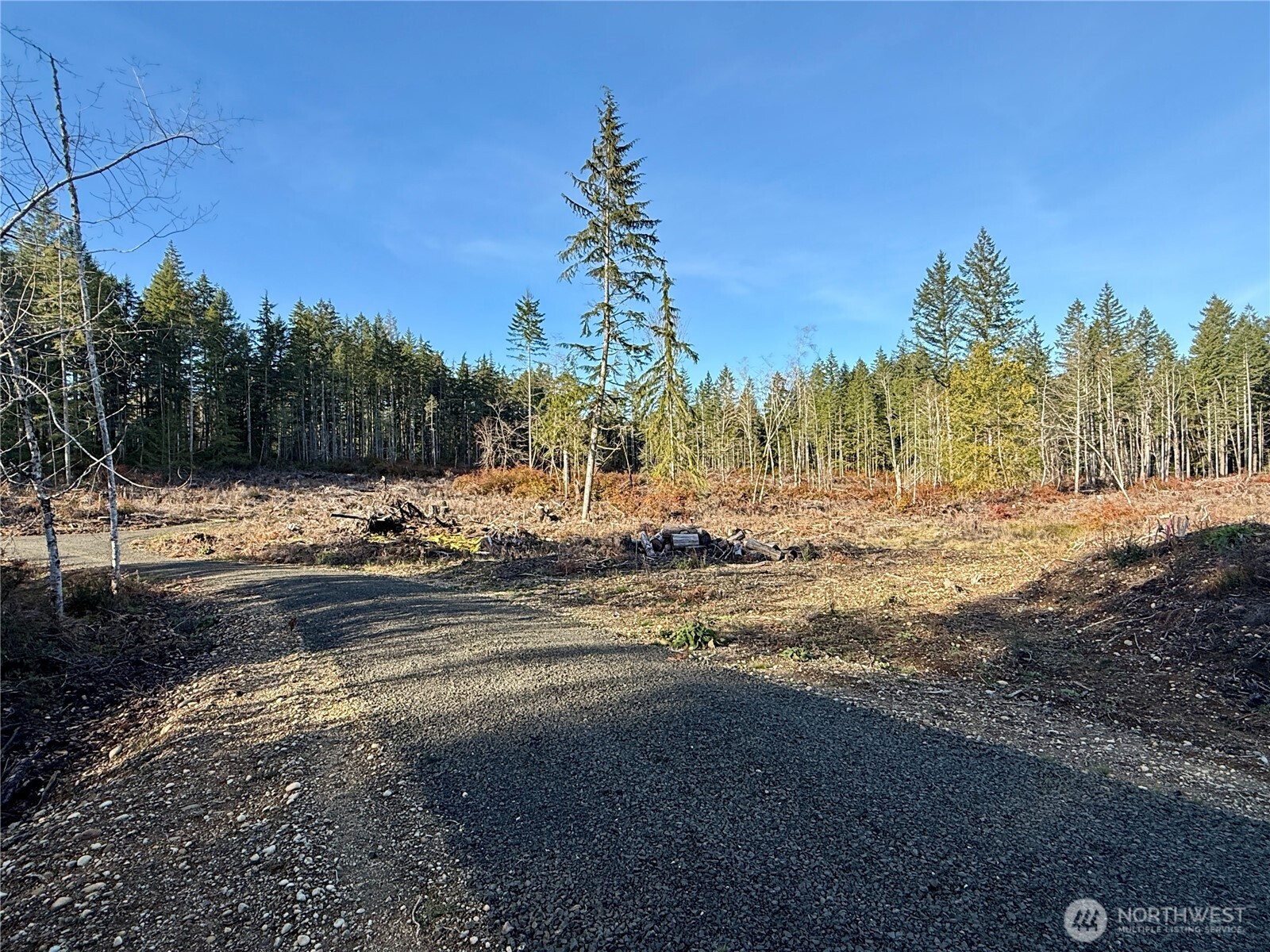 260 E Solbakk Veien Road , Shelton, WA 98584