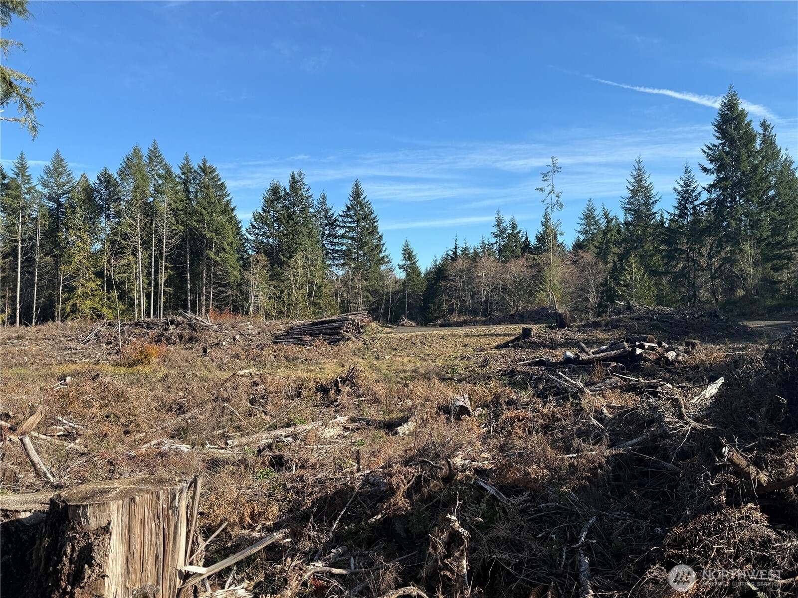 260 E Solbakk Veien Road , Shelton, WA 98584