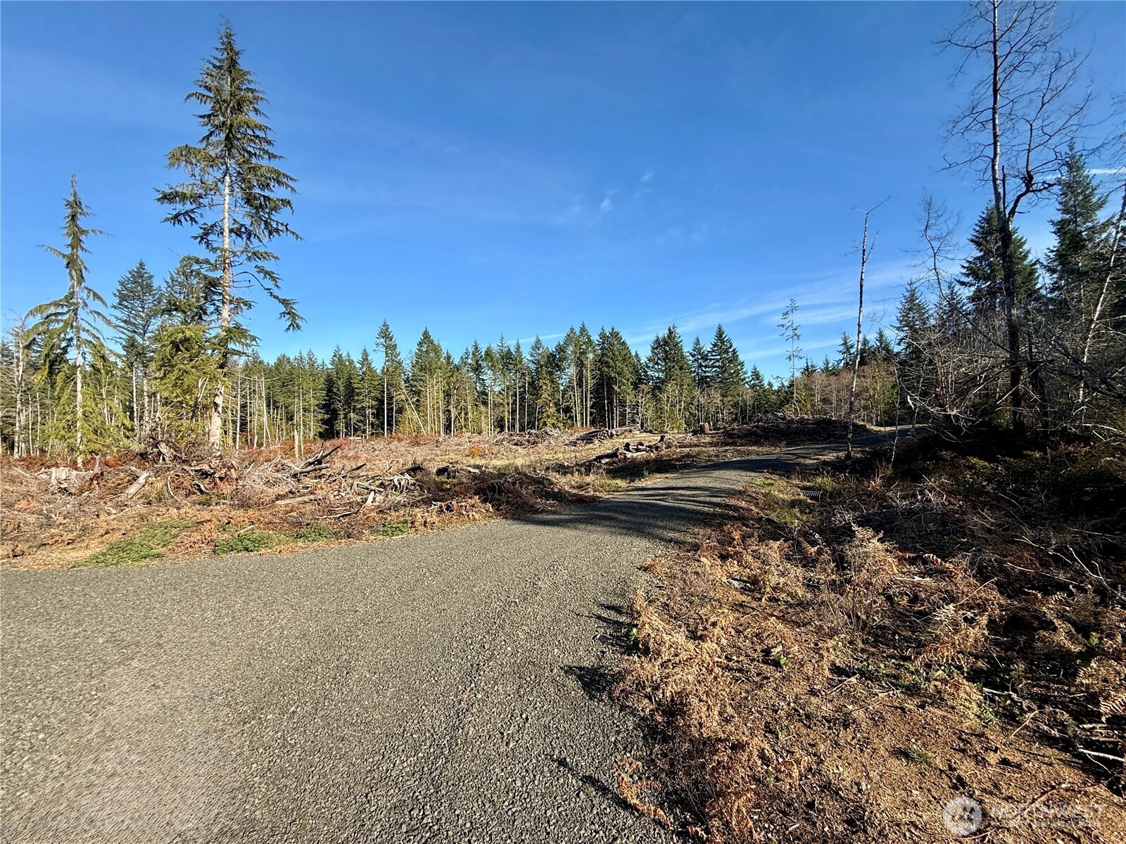 260 E Solbakk Veien Road , Shelton, WA 98584