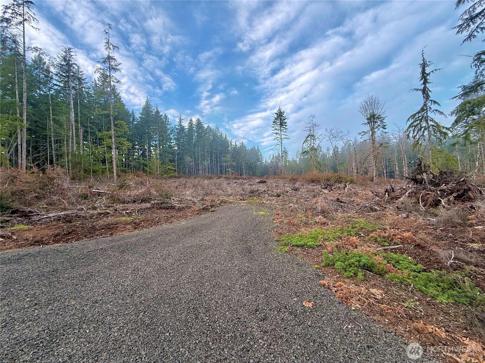 260 E Solbakk Veien Road , Shelton, WA 98584