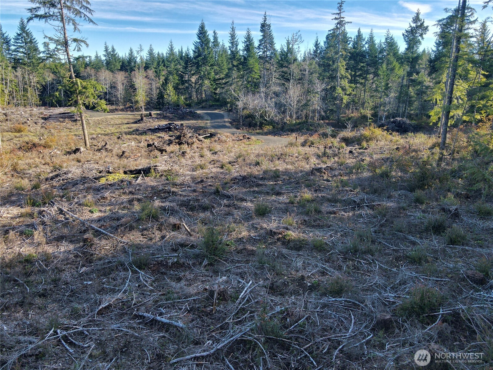 260 E Solbakk Veien Road , Shelton, WA 98584