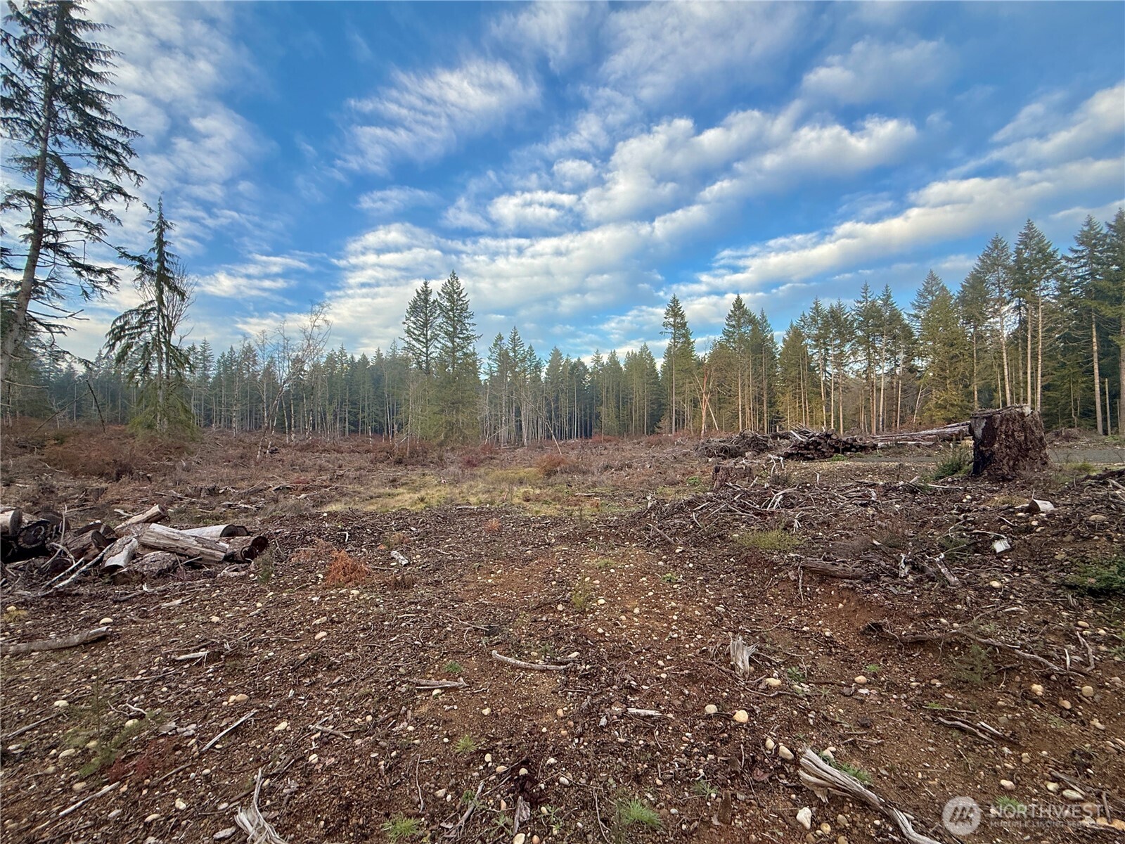 260 E Solbakk Veien Road , Shelton, WA 98584