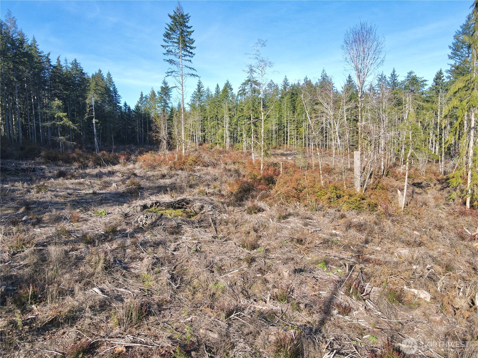 260 E Solbakk Veien Road , Shelton, WA 98584