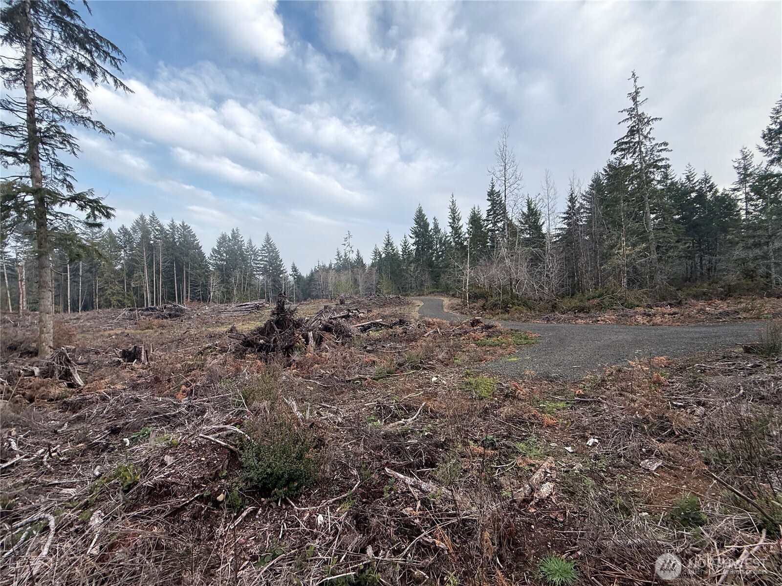 260 E Solbakk Veien Road , Shelton, WA 98584
