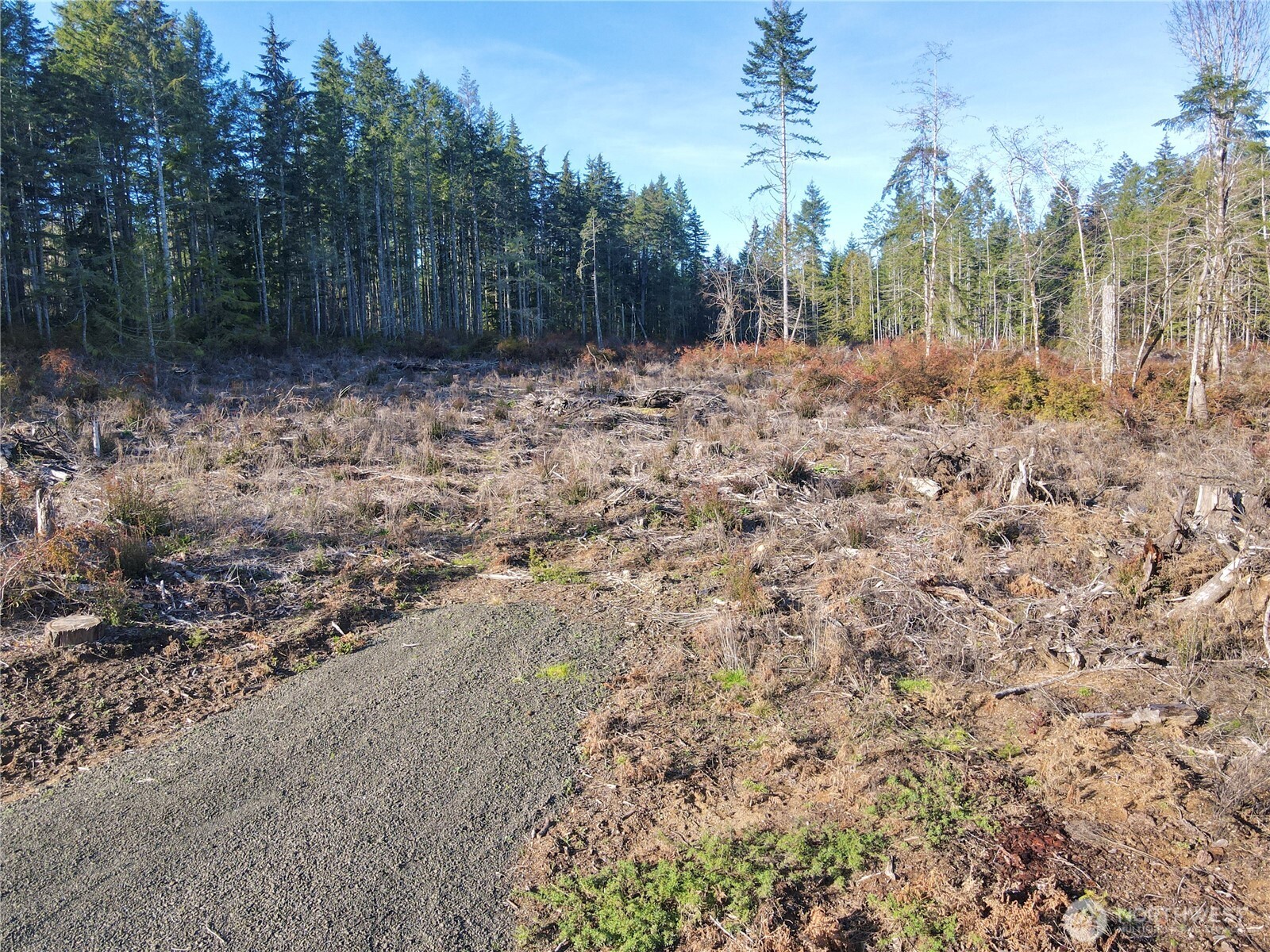 260 E Solbakk Veien Road , Shelton, WA 98584