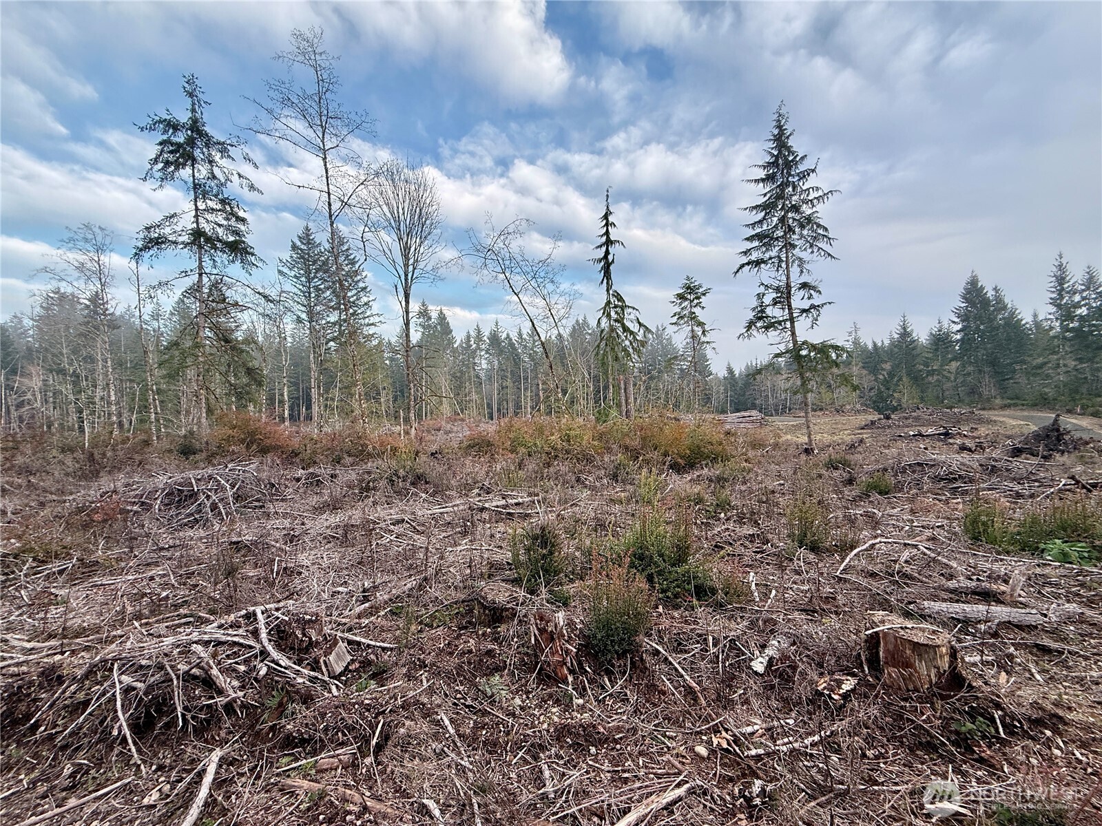 260 E Solbakk Veien Road , Shelton, WA 98584