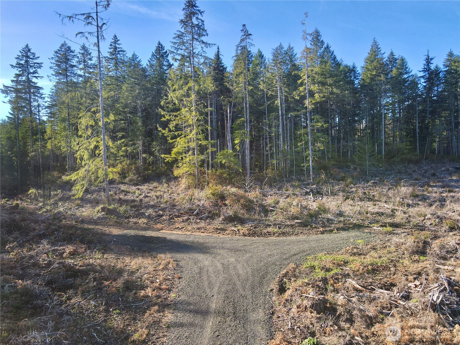 260 E Solbakk Veien Road , Shelton, WA 98584