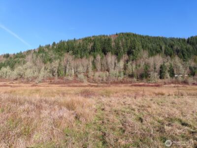 0 XXX Larson Road , Mossyrock, WA 98564