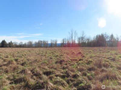 0 XXX Larson Road , Mossyrock, WA 98564 - Photo 11