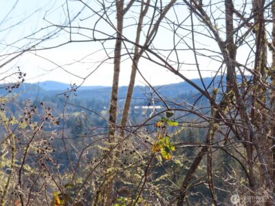 0 XXX Larson Road , Mossyrock, WA 98564 - Photo 12