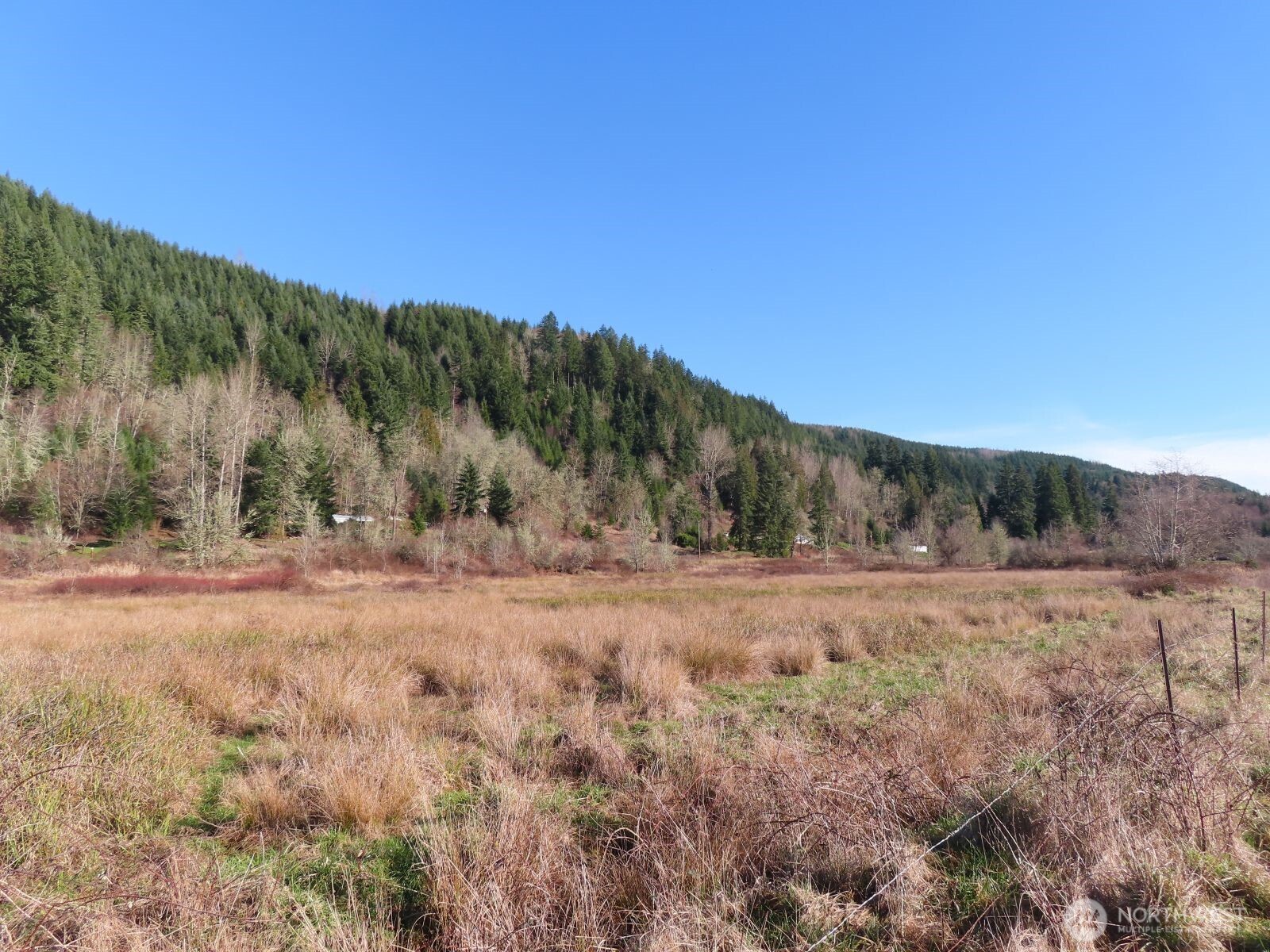 0 XXX Larson Road , Mossyrock, WA 98564