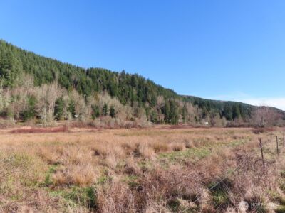 0 XXX Larson Road , Mossyrock, WA 98564 - Photo 13