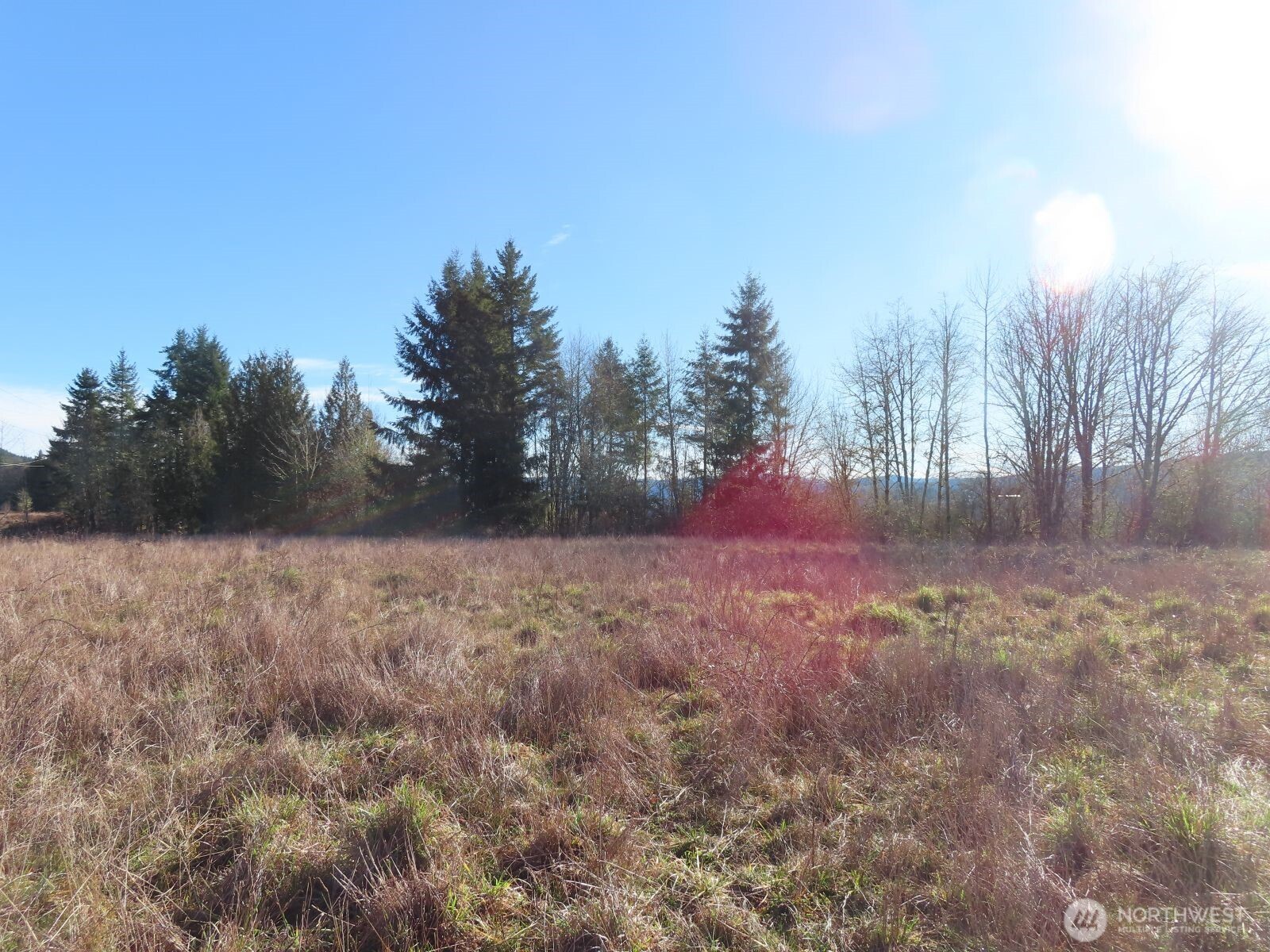 0 XXX Larson Road , Mossyrock, WA 98564