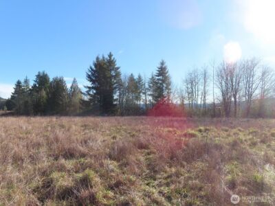 0 XXX Larson Road , Mossyrock, WA 98564 - Photo 15