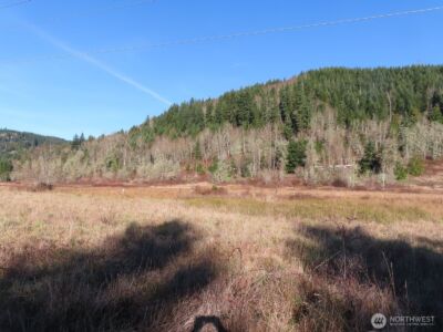 0 XXX Larson Road , Mossyrock, WA 98564 - Photo 16