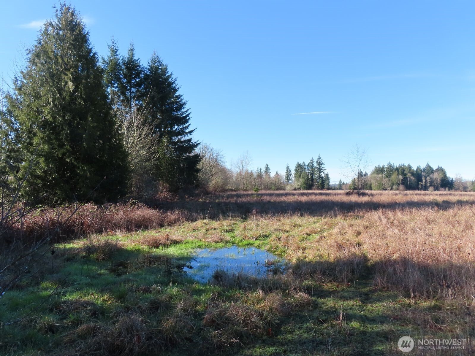 0 XXX Larson Road , Mossyrock, WA 98564