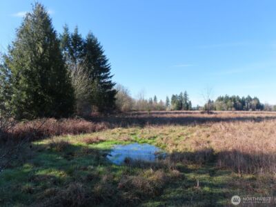 0 XXX Larson Road , Mossyrock, WA 98564 - Photo 17